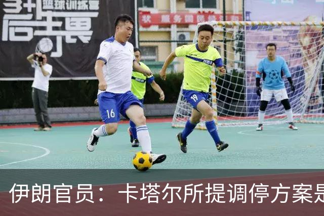 伊朗官员:卡塔尔所提调停方案是“无法接受的构想”